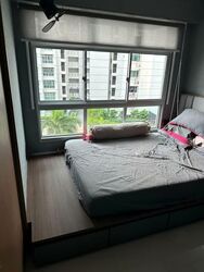 Blk 421C Northshore Straitsview (Punggol), HDB 2 Rooms #553321171